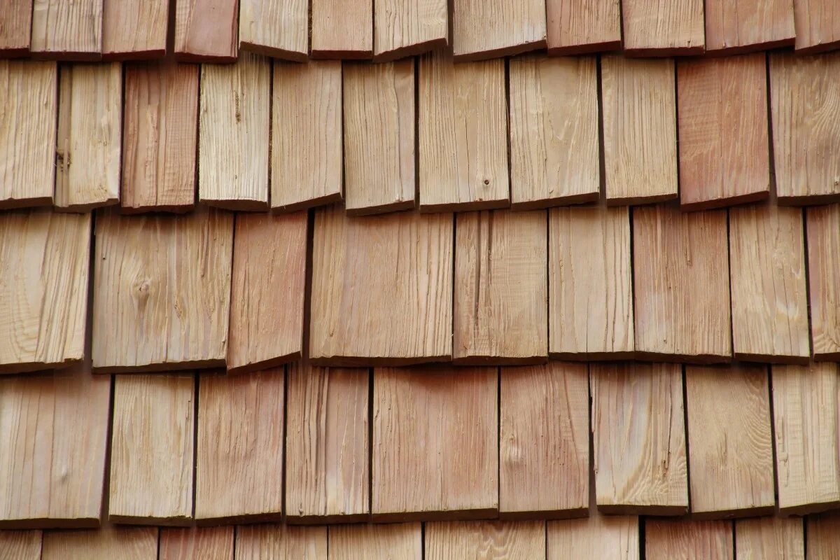 Торец доски текстура. Текстура дерева. 1024 234 01617 ламинат. Bitch wood. Bitch wood.