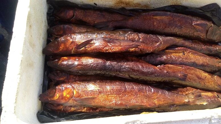 Усть баргузинский рыбный завод. Омуль байкал вектор. Омуль улан удэ. Омуль деликатес с душком. Омуль улан удэ.