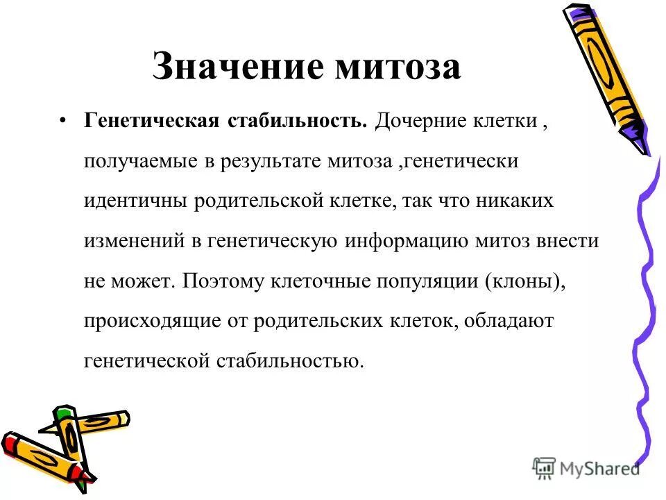 дочерние особи идентичны родительской