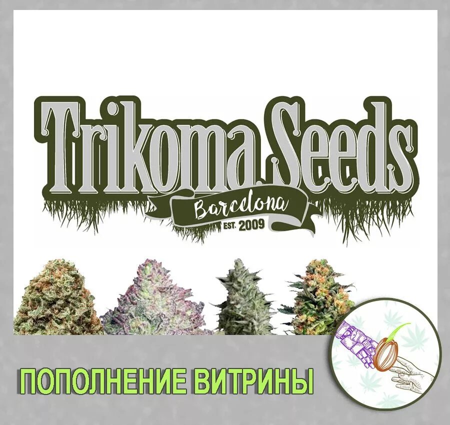 Trikoma Seeds лого. Сид банки