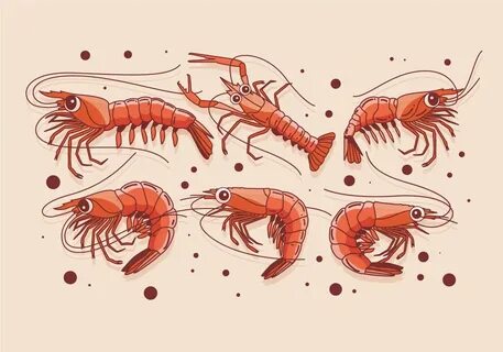 Креветка карты