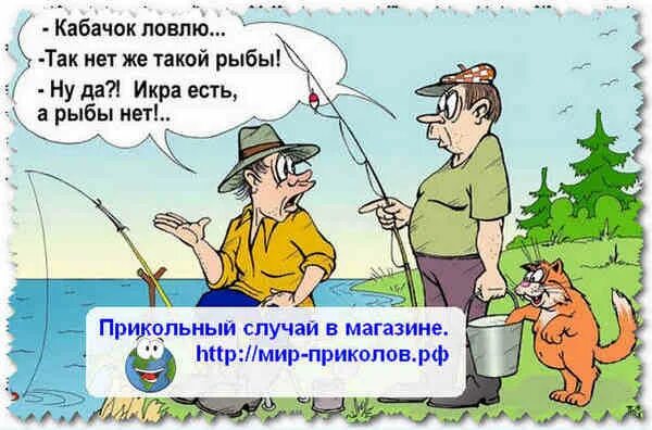 Анекдот про кабачки. Шутки про кабачки. Анекдоты про кабачки смешные. Ловись рыбка большая и маленькая.