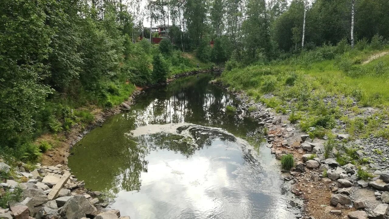 Река грузинка. Река грузинка Васкелово. Плотина на реке грузинка. Васкелово река грузинка плотина на реке. Васкелово речка грузинка.