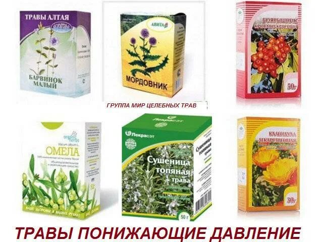 Травы поднимающие давление. Травяные сборы для понижения давления. травы от гипертонии. травы от давления высокого. травы для понижения высокого давления.