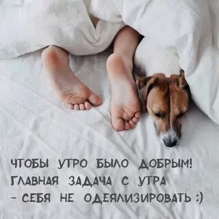Почему бывает утро