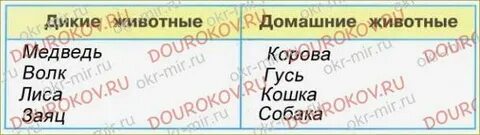 Приведи не менее двух примеров животных