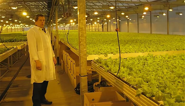 Работа вакансии белый дача. Теплицы белая дача. белая дача трейдинг. ферма белые дачи. завод &quot;белая дача трейдинг&quot; котельники.
