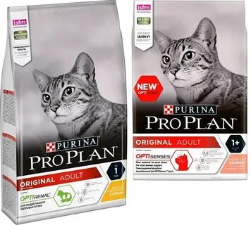 Pro plan 1 1