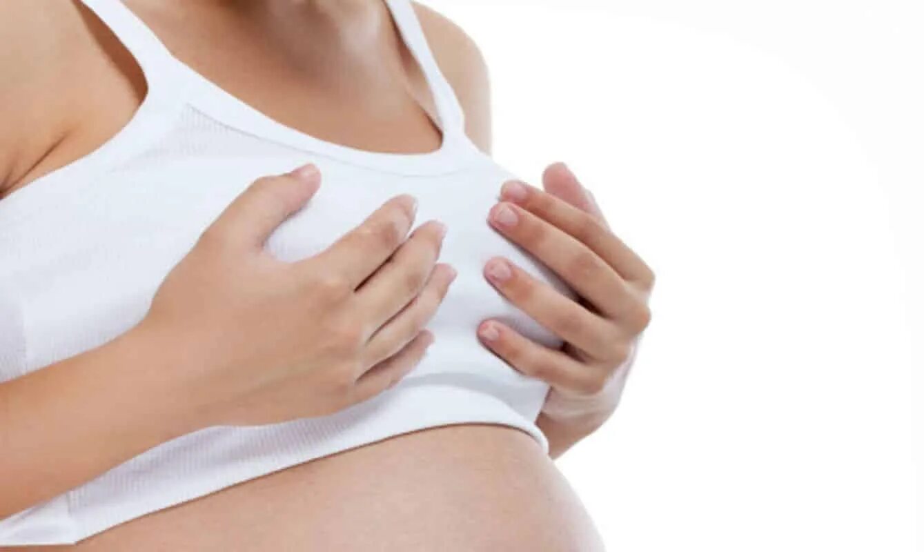Груди болят при климаксе у женщин. Как выглядит грудь у беременных. Гигиена молочных желез беременной. Уход за молочными железами беременной.