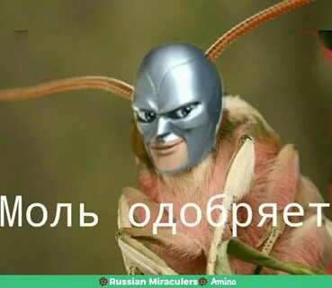 Моли твою
