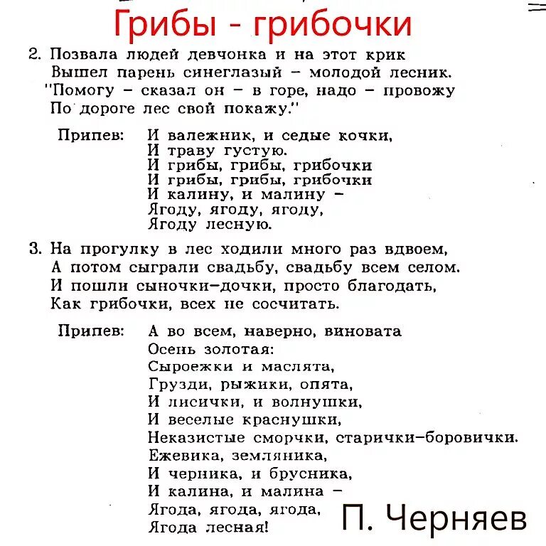 Текст песни грибочки. Ой грибы грибочки текст. Текст песни Ой грибы грибы грибочки. Грибы грибочки песня.