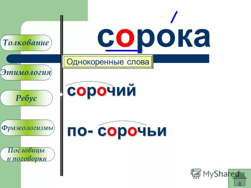 Подобрать к слову улица. Сорока однокоренные слова. Однокоренные слова к слову ворона. Однокоренные слова к слову сорока 1 класс. Сорока родственные слова.