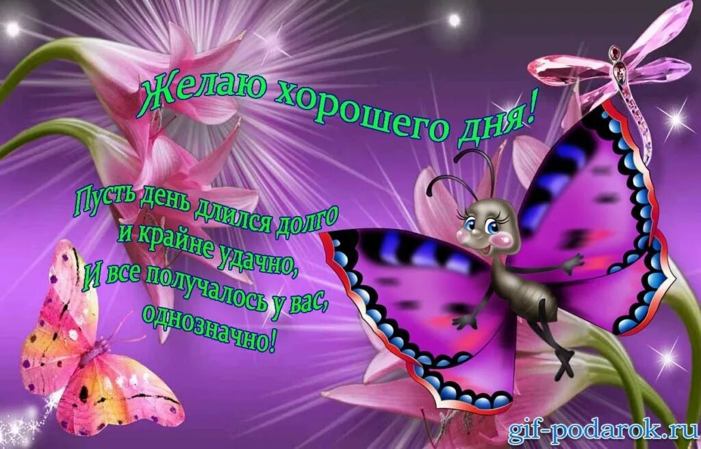 Добрые пожелания. Видео картинки с пожеланиями. Видео картинки с пожеланиями. Добрый день гифки. Прекрасных выходных и отличного настроения.