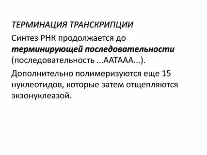 Терминация синтеза рнк