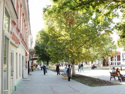 Шел херсон