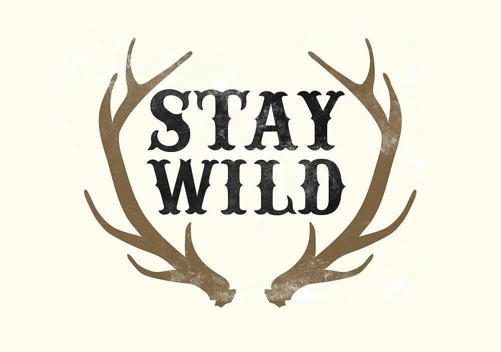 Wild перевести на русский. Stay Wild. Футболка stay Wild. Твое stay Wild.