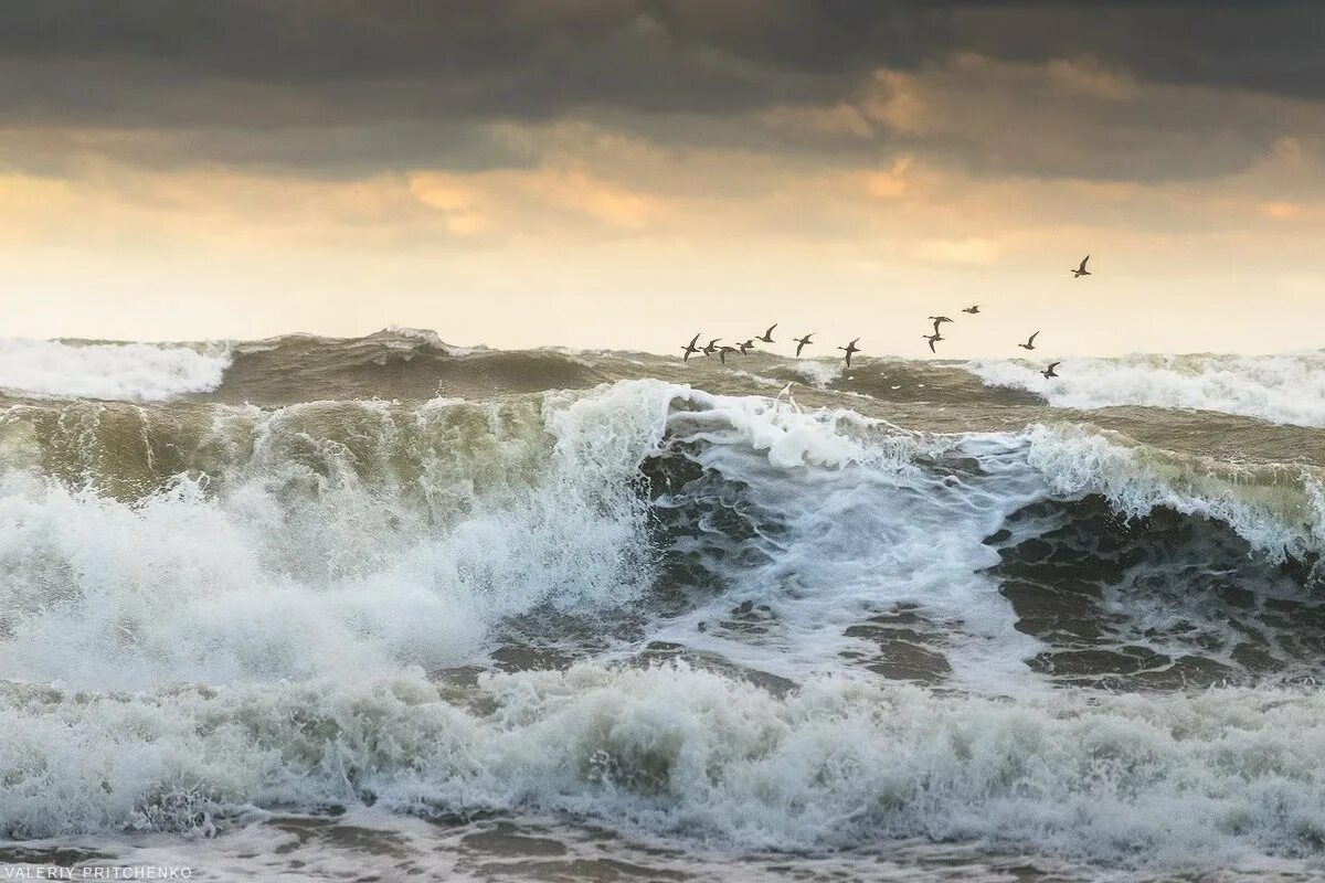 Шторм августа. Шторм Балтийское море Калининград. Каспийское море шторм. Берингово море шторм. Штормящее море Балтика.