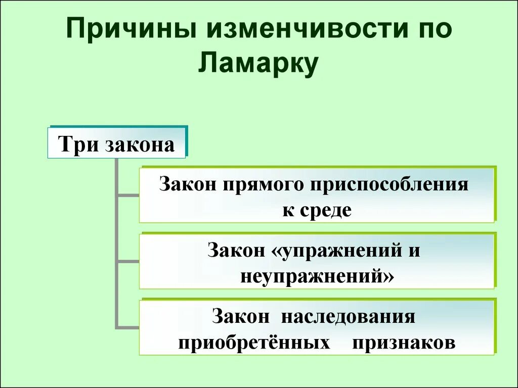 Законы эволюции по Ламарку. Причины эволюции по Ламарку. Причины изменчивости. Изменчивость организмов по Ламарку. Законы эволюции жизни