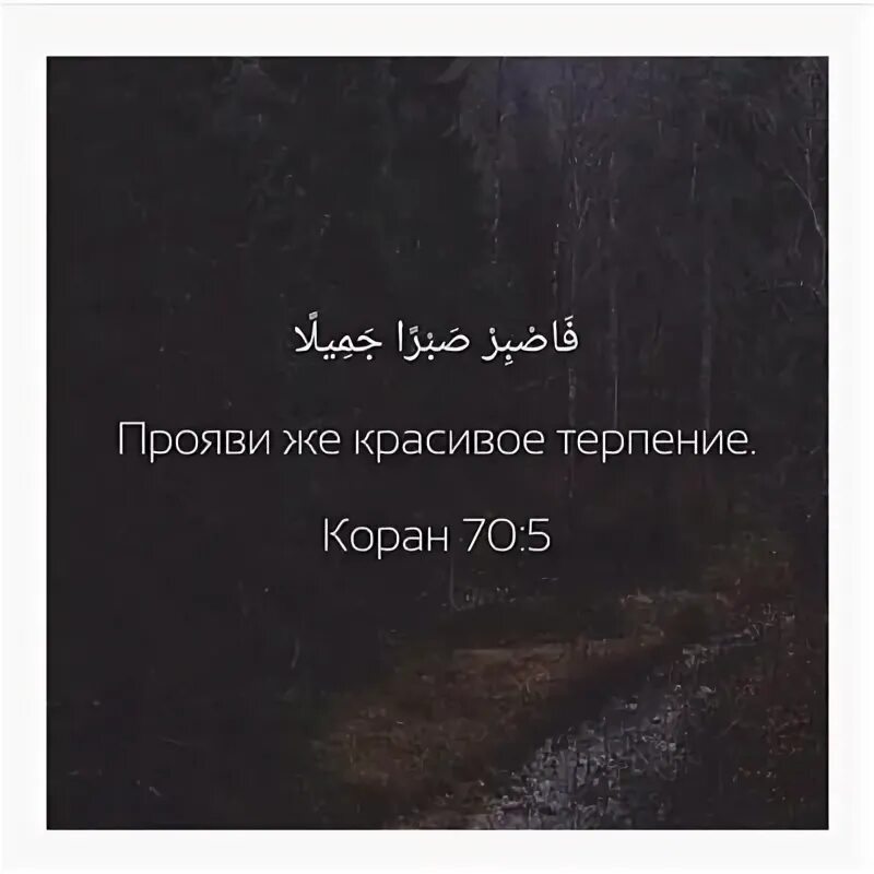 Проявите же красивое терпение. Прояви же красивое терпение. Красиво не красиво терпи. Прояви же красивое терпение 70 5. Прояви красивое терпение.