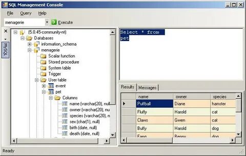Sql object