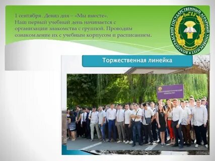 День под девизом