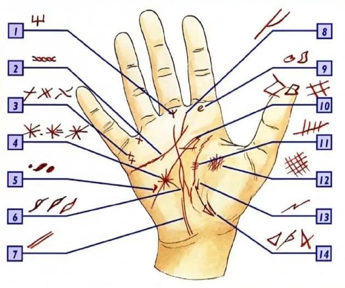 Где ладонь. Знаки на ладони. Знаки на руке хиромантия. Знаки руками. Символы на руке хиромантия.