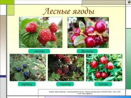 Ягода 8 слов