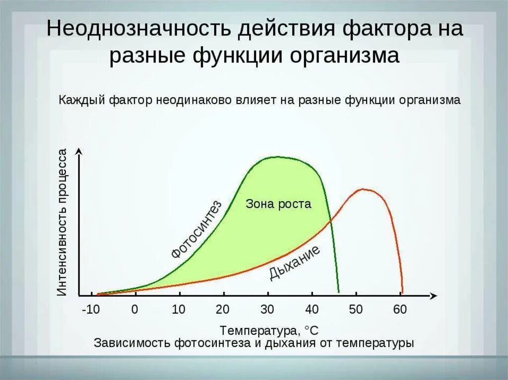 Неоднозначность действия фактора на разные функции. Влияние температуры на фотосинтез. Неоднозначность действия фактора на разные функции организма. Неоднозначность действия факторов среды на разные функции организма. Как изменится интенсивность дыхания и интенсивность фотосинтеза