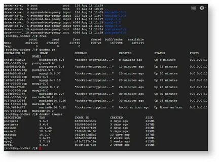 Docker root