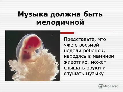 8 неделя 2018