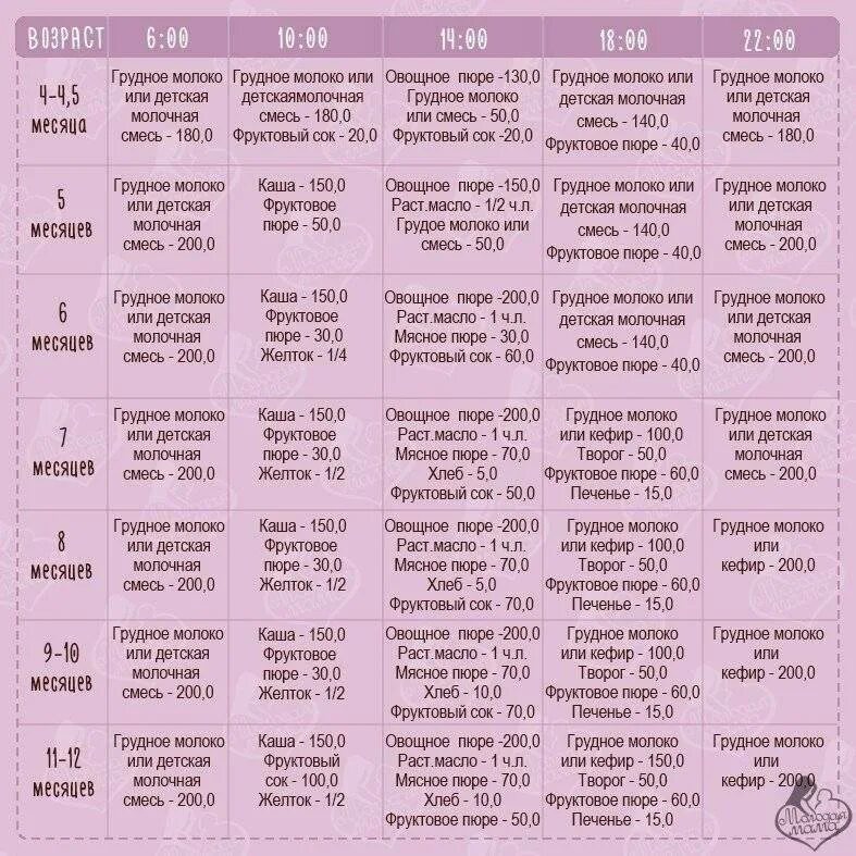 Рацион питания 5-6 месячного ребенка. Примерное меню для ребенка 5-6 месяцев на грудном вскармливании. Меню грудничка в 8 месяцев. Примерное меню ребенка в 7 месяцев на грудном вскармливании.