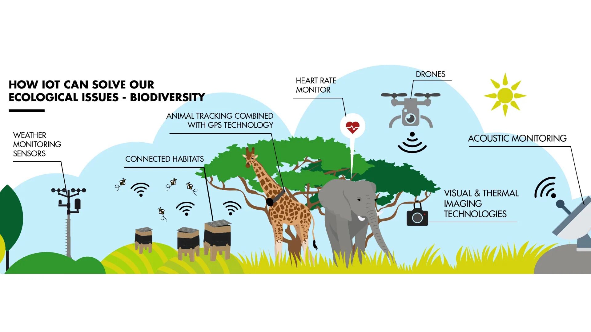 Such issue as. Loss of Biodiversity. Causes of Biodiversity loss. Loss of Biodiversity презентация. Biodiversity problems.