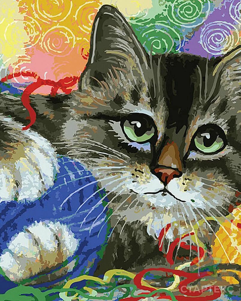 Белоснежка кот. Кот картина. Картины котов. Картины по номерам с котами. Раскраска по номерам кот.