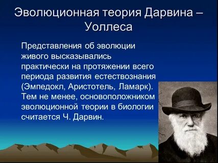 Теории эволюции биология 11 класс