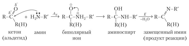 Альдегид nh3. Механизм реакции альдегидов с аминами. Механизм реакции альдегида с Амином. Механизм реакции Аминов с альдегидами. Реакция присоединения отщепления альдегидов.