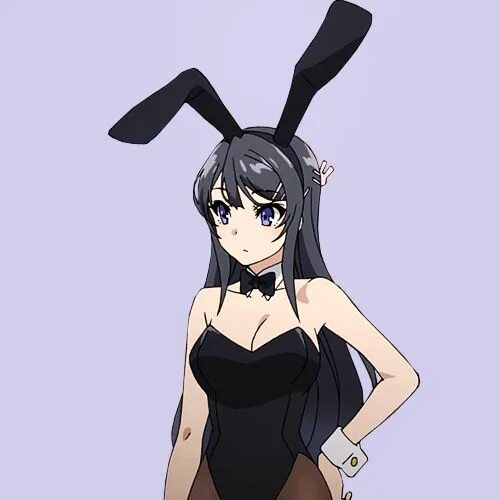 Сакураджима мэй. Bunny girls группа. Сакураджима мэй в полный рост. Mai sakurajima в костюме кролика. Банни герлз.