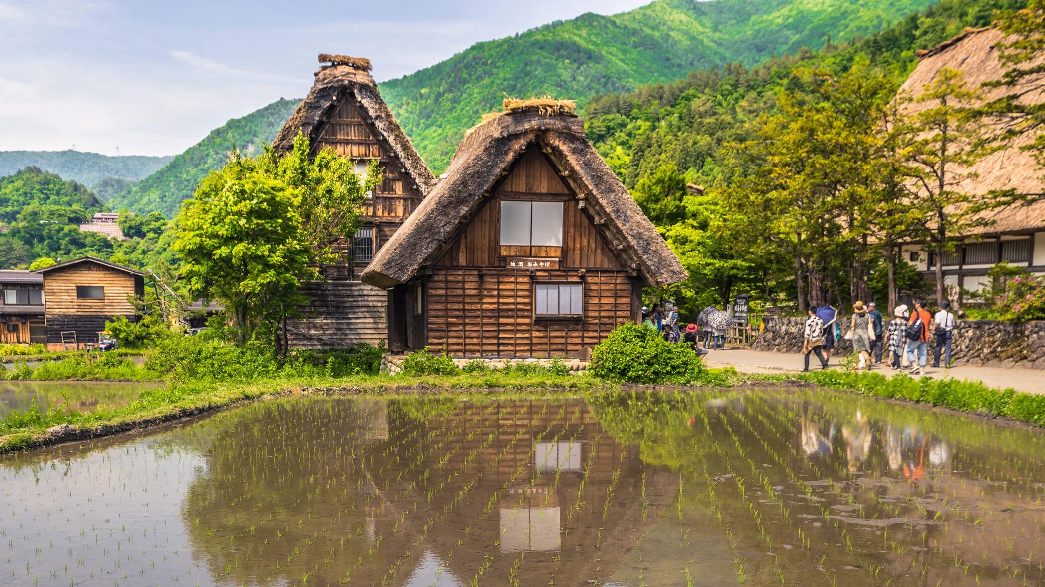 Деревня Ширакава. Агротуризм. Агротуризм Тайвань. Сиракава село храм. Call village