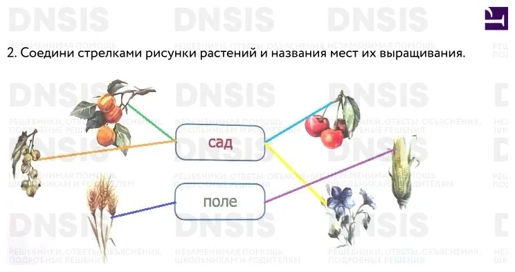 Окружающий мир 4 класс рабочая тетрадь 2 часть Тихомирова. Растениеводство в нашем крае 4 класс окружающий мир рабочая тетрадь. Гдз окружающий мир 2 класс рабочая тетрадь Тихомирова 1 часть. Гдз рабочая тетрадь окружающий мир 3 класс 2 часть Растениеводство. Окр мир стр 63