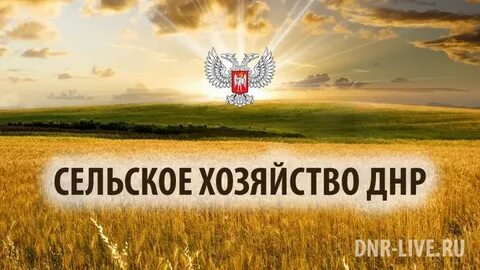 Сельхоз днр