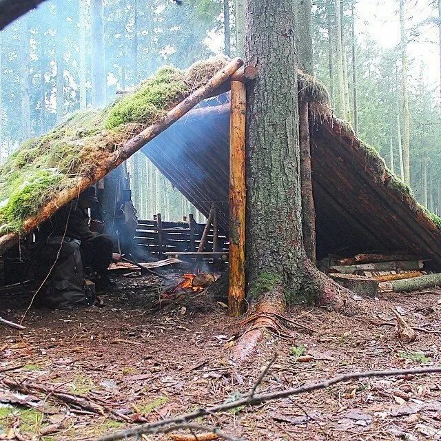 шалаш из веток. шалаш около дерева. укрытие из веток. таежный шалаш. большой шалаш.