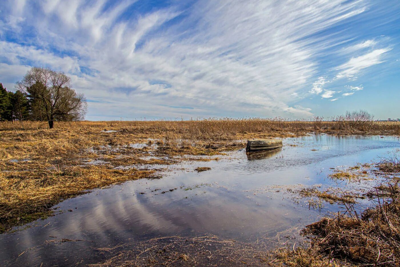 Весной один день год кормит. Вешний лет. Весенний день год кормит. Что означает слово вешние воды. Картинки на тему пробуждение весны.