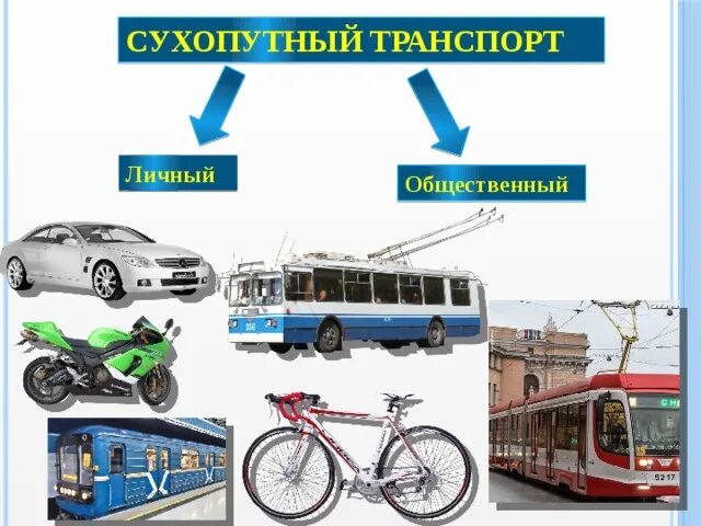 Сухопутный транспорт. Наземный транспорт. Личный сухопутный транспорт. Общественный сухопутный транспорт.