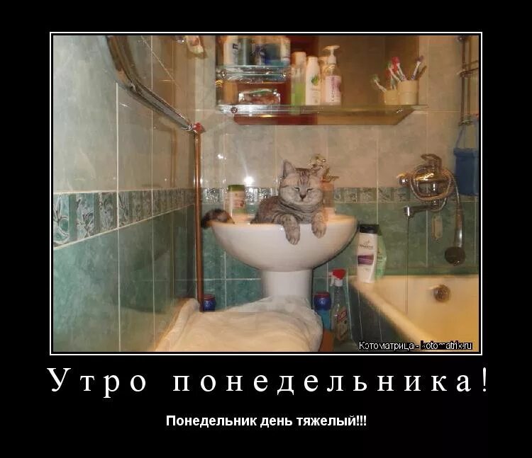 тяжелый день здесь. понедельник день тяжелый. понедельник день тяжелый. тяжелый день здесь. понедельникдень тяжёлый.