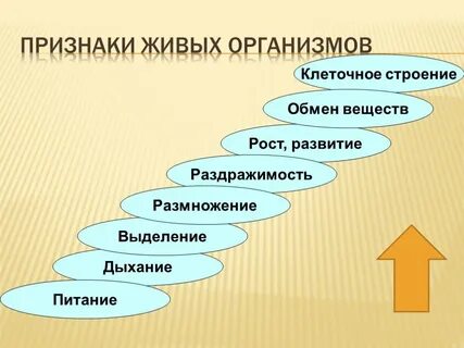Биологические признаки 5 класс