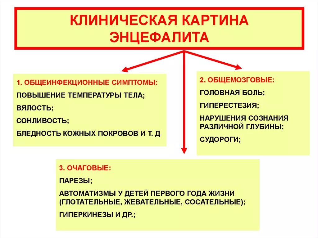 Клинические проявления энцефалита. Клинические проявления клещевого энцефалита. Первые клинические проявления клещевого энцефалита. Клещевой энцефалит клиническая картина. Признаки энцефалита после