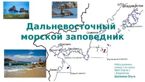 Специализация дальневосточного морского