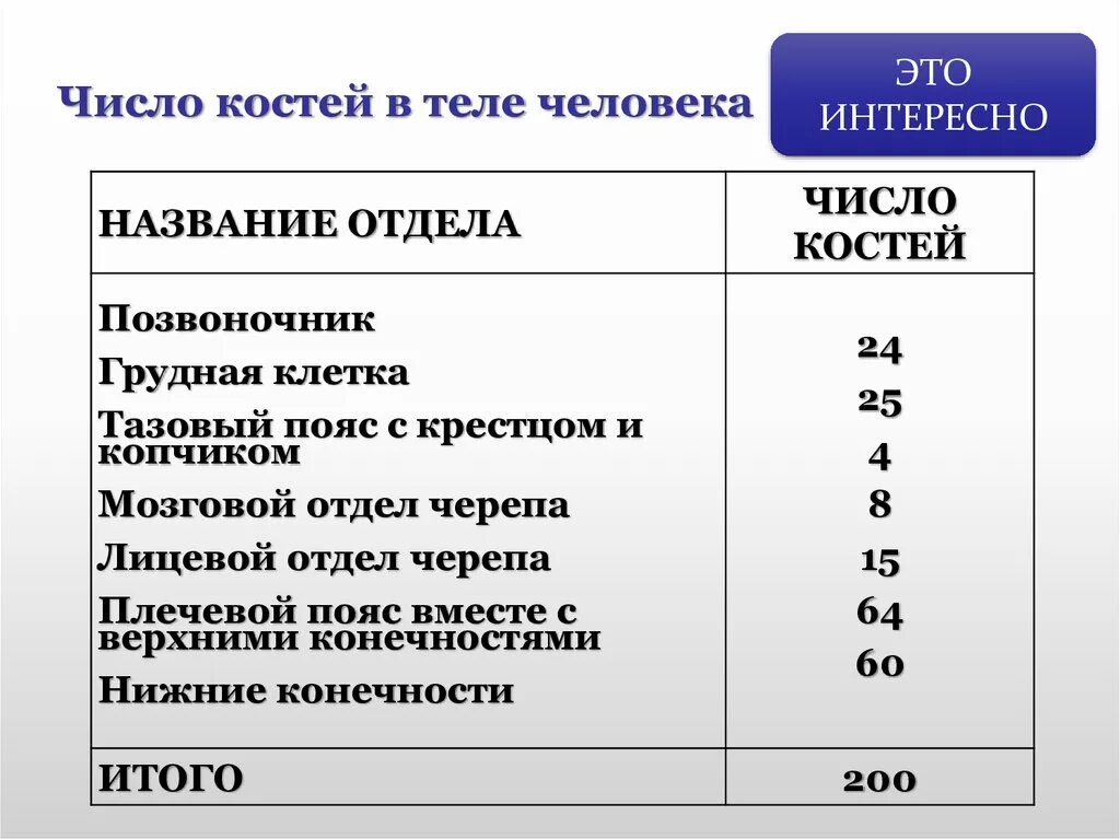 Сколько костей у новорожденного. Сколькоклстей в теле человека. Сколько костей в теле человека. Сколькоту селовека кгстей. Сколько костей утчеловека.