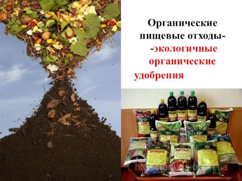 Органических отходов. Органические отходы. Утилизация органических отходов. Переработка органических отходов. Пищевые отходы утилизация.