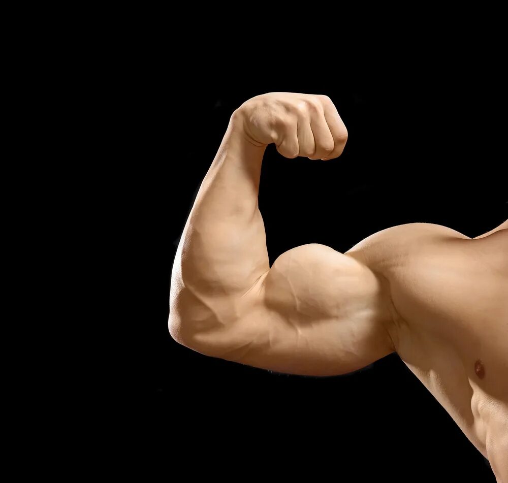 сильные руки. накаченные руки. бицепс. накаченные женские руки. слабые руки.