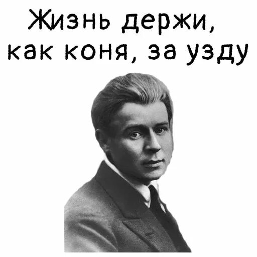 И не ахай жизнь держи как коня. Стикеры мысли Есенина. Жизнь держи как коня за узду. Мысли Есенина. Есенин стикер.